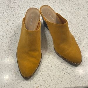 Yellow mules